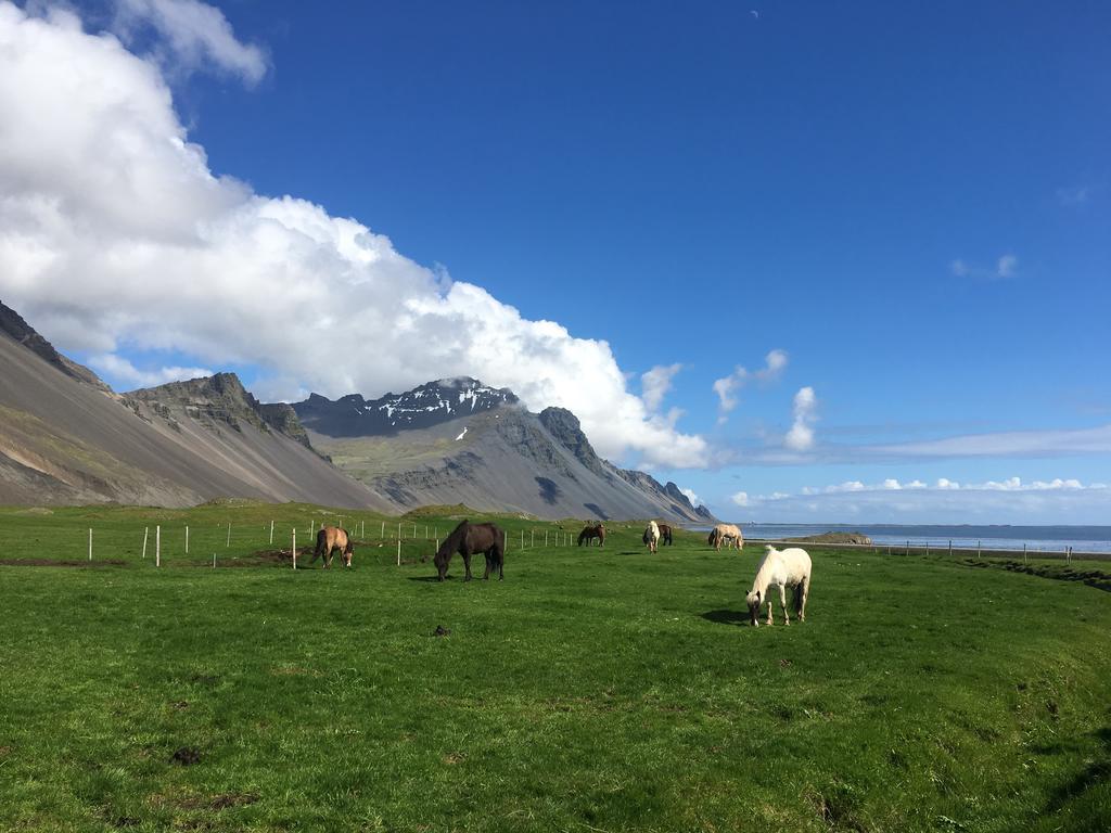 Dynjandi Guesthouse Höfn Extérieur photo